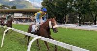 Cavalieri e amazzoni in sella, due belle corse a Merano Cavalieri e amazzoni in sella, due belle corse a Merano
