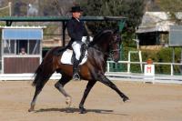 Cavalli in Villa,  terza tappa  a Villa Pisani Bonetti e Parco Ippodromo