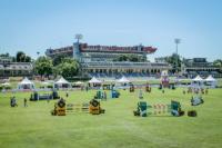 Milano Jumping Cup, non solo sport