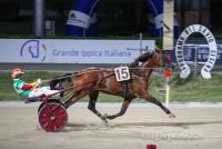Al via la stagione di corse al trotto all’Ippodromo del Savio