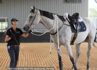Intervista a Kate Fenner su riaddestramento cavallo da corsa a fine carriera ( parte prima) Intervista a Kate Fenner su riaddestramento cavallo da corsa a fine carriera ( parte prima)