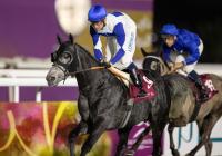 Uae President Cup a Milano: Moshrif (gr.1) e altri sette Vincitori di pattern races tra gli iscritti per il 21 giugno Uae President Cup a Milano: Moshrif (gr.1) e altri sette Vincitori di pattern races tra gli iscritti per il 21 giugno
