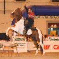 A Sansepolcro primo premio a Bartozzi ''El Mosquero'' A Sansepolcro primo premio a Bartozzi ''El Mosquero''