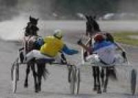 Campionato del Mediterraneo, Pettinari terzo