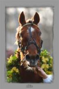 E' morto Jean-René Gougeon, il ''papa'' del trotto E' morto Jean-René Gougeon, il ''papa'' del trotto