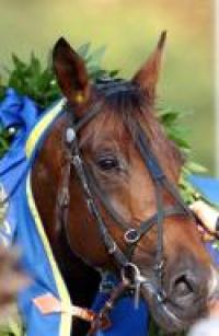 La scheda : Daguet in Italia vinse il Derby nel 2003