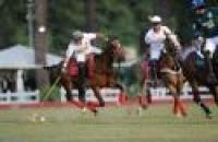 Polo a Roma, l'Audi vince e premia... se stessa Polo a Roma, l'Audi vince e premia... se stessa