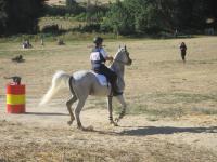 Santa Barbara, Mondiale Trec Young Riders ed Europeo Trec Seniores