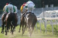 Galoppo, a Varese in scena il premio Giovanni Borghi Galoppo, a Varese in scena il premio Giovanni Borghi