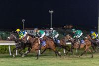 L'Ardenza, giovedì in pista Momento Giusto, con l'amaranto di Max Allegri L'Ardenza, giovedì in pista Momento Giusto, con l'amaranto di Max Allegri