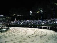 Mercoled&igrave; corse al galoppo in notturna al Martini di Corridonia