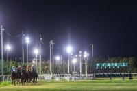 Venerdì sera il vernissage di Livorno, clou sui 2250 Venerdì sera il vernissage di Livorno, clou sui 2250