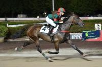 Ippodromo Sesana di Montecatini , una serata nel segno di Cavallo2000