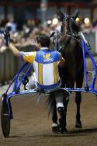 Trotto, l'albo d'oro del G.P. a Montecatini Trotto, l'albo d'oro del G.P. a Montecatini