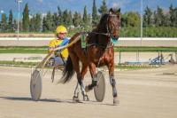 Richard Ebbinge Campione del Mondo dei Guidatori del Trotto