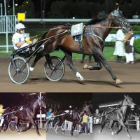 IL  Città di Montecatini tra ricordi ed emozioni