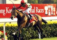 YORK IL MEETING IMPERDIBILE YORK IL MEETING IMPERDIBILE