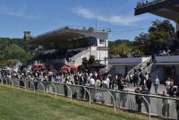 Napoli. Riapre Agnano : corse all'ippodromo il 13 agosto il trotto, il 17 il galoppo. Napoli. Riapre Agnano : corse all'ippodromo il 13 agosto il trotto, il 17 il galoppo.