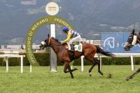 Ferragosto a Maia: Zar Bitter difende il titolo nel Premio delle Alpi Ferragosto a Maia: Zar Bitter difende il titolo nel Premio delle Alpi