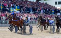 Il Campionato Femminile di Trotto a Solvalla Il Campionato Femminile di Trotto a Solvalla