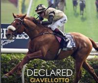 Abbiamo un sogno : Giavellotto a San Siro per il Jockey Club Abbiamo un sogno : Giavellotto a San Siro per il Jockey Club