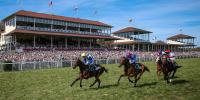 Sabato al via a Baden-Baden la ' Grosse Woche ' del galoppo