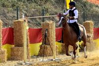 Giostra dei Ventimiglia spettacolo equestre coinvolgente, ma potrebbe migliorare Giostra dei Ventimiglia spettacolo equestre coinvolgente, ma potrebbe migliorare