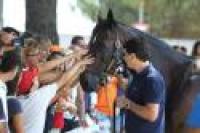 Bagno di folla per Varenne a Città di Castello Bagno di folla per Varenne a Città di Castello