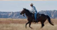 The rider, un film sul grande spirito dei cavalli !