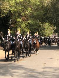 Piazza di Siena, riflessioni spettinate di un'antica amazzone.