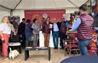 Francia, successo degli anglo arabi di  Sardegna