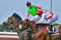 Capannelle, bella domenica di galoppo Capannelle, bella domenica di galoppo