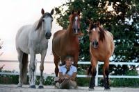 Città di  Castello, Mostra Nazionale del Cavallo ai nastri di partenza