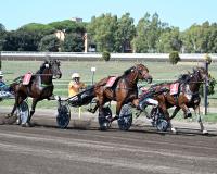 Definiti i partenti del  Derby Italiano  e delle Oaks del Trotto Definiti i partenti del  Derby Italiano  e delle Oaks del Trotto