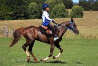 Endurance: quattro amazzoni per quattro titoli nazionali Endurance: quattro amazzoni per quattro titoli nazionali