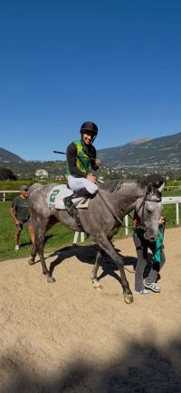TUTTO PRONTO PER IL KURT GOLDEGG, IL MERANO DEGLI AMATORI !
