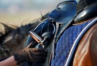 Turismo rurale con il cavallo: Turismo rurale con il cavallo:
