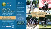 Montefalco, apertura campionato Italiano di Monta da Lavoro. Montefalco, apertura campionato Italiano di Monta da Lavoro.