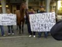 Protesta con cavalli anche alla sede dell'Unire Protesta con cavalli anche alla sede dell'Unire