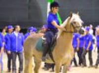 Eurohaflinger 2015, una sfida riuscita Eurohaflinger 2015, una sfida riuscita
