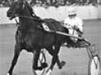 Totto amarcord: Delfo campione del mondo.
