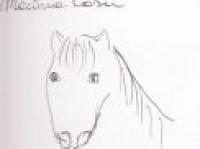 Uomo e cavallo: perché la forza non serve.