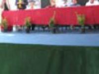 I cavalli di Federigo 'Cavaliere volante'.