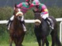 Capannelle, tre centri per la Scuderia Incolinx