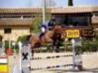 Sicilia Jumping Tour, Zuvadelli vince per 3/100