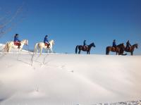 Percorsi d'inverno a ...misura di cavallo Percorsi d'inverno a ...misura di cavallo