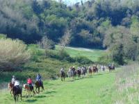Emilia Romagna, corso per accompagnatori escursionisti