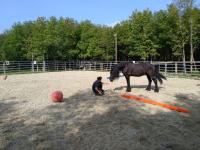 Insieme al cavallo per riscoprire la dimensione del tempo Insieme al cavallo per riscoprire la dimensione del tempo