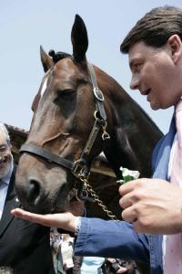 Varenne ospite d'onore al Festival dello Sport di Trento Varenne ospite d'onore al Festival dello Sport di Trento