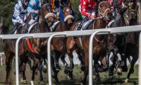 Sabato a San Rossore, con la riapertura del galoppo pisano Sabato a San Rossore, con la riapertura del galoppo pisano
